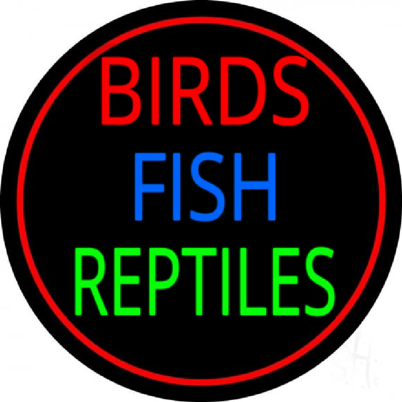 Birds Fish Reptiles 2 Neon Skilt