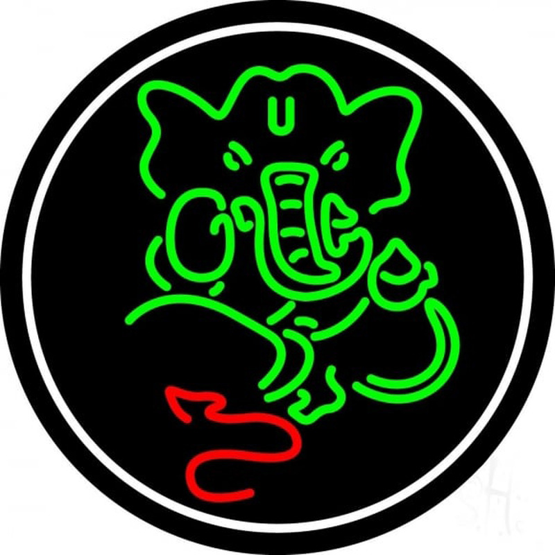 Lord Ganesha With Border Neon Skilt