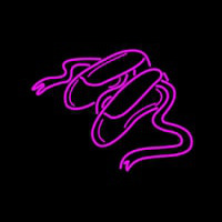 Ballet Shoes Neon Skilt