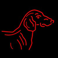 Dog Neon Skilt