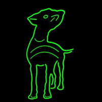 Dog Neon Skilt