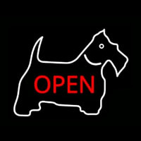 Open Neon Skilt