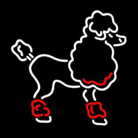 Poodle Neon Skilt