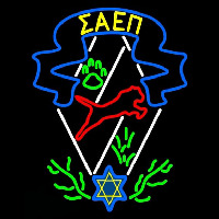 Sigma Alpha Epsilon Pi Logo Neon Skilt