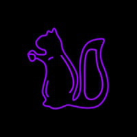 Squirrel Neon Skilt