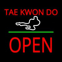 Tae Kwon Do Logo Block Open Green Line Neon Skilt