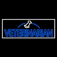 Double Stroke Veterinarian Neon Skilt